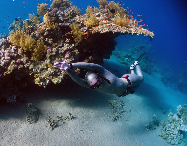 Emma Farrell freediving on a coral reef in the red sea with monofin and silver suit